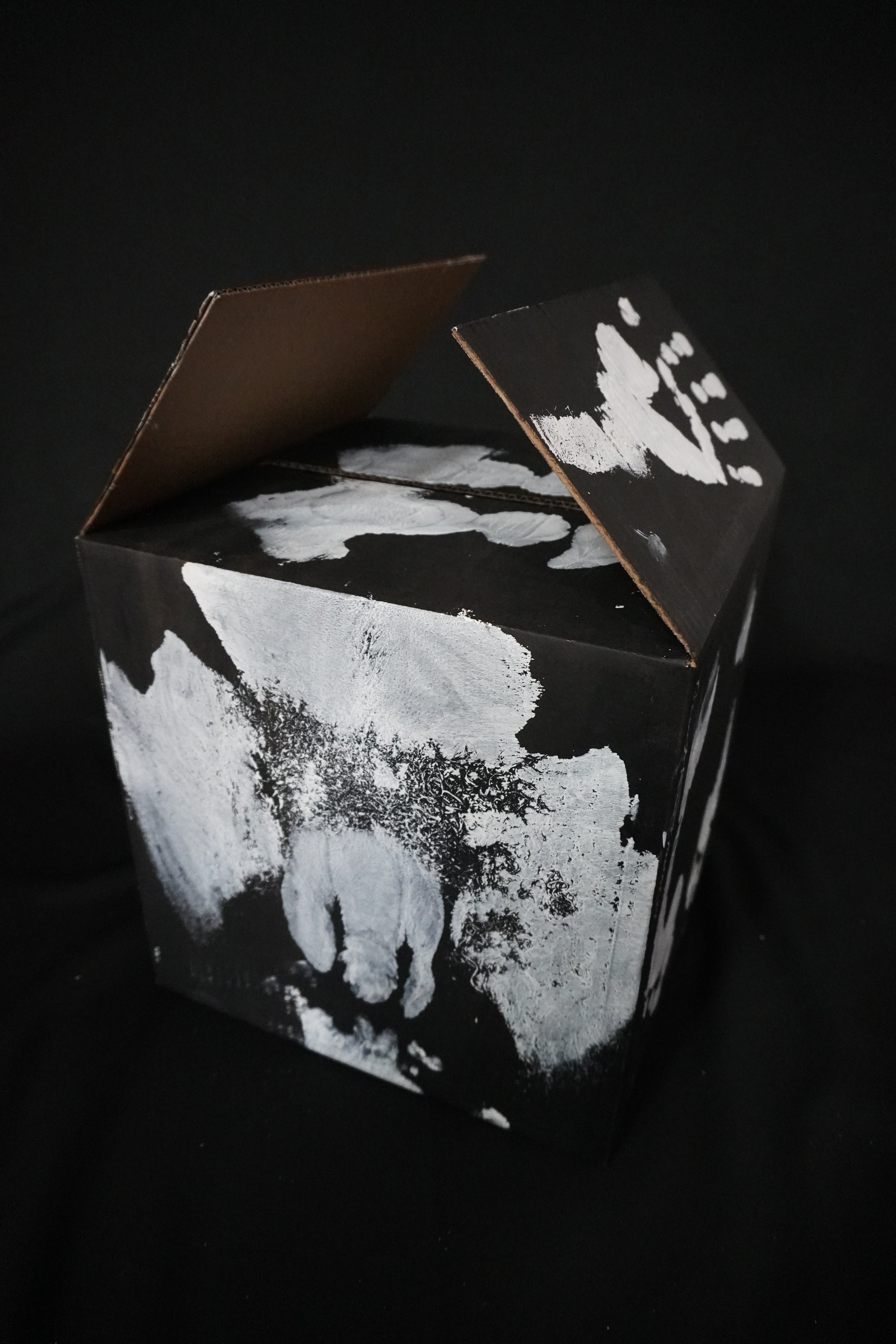 Box Imprint Artifact V (Object to Image Series) (2024)