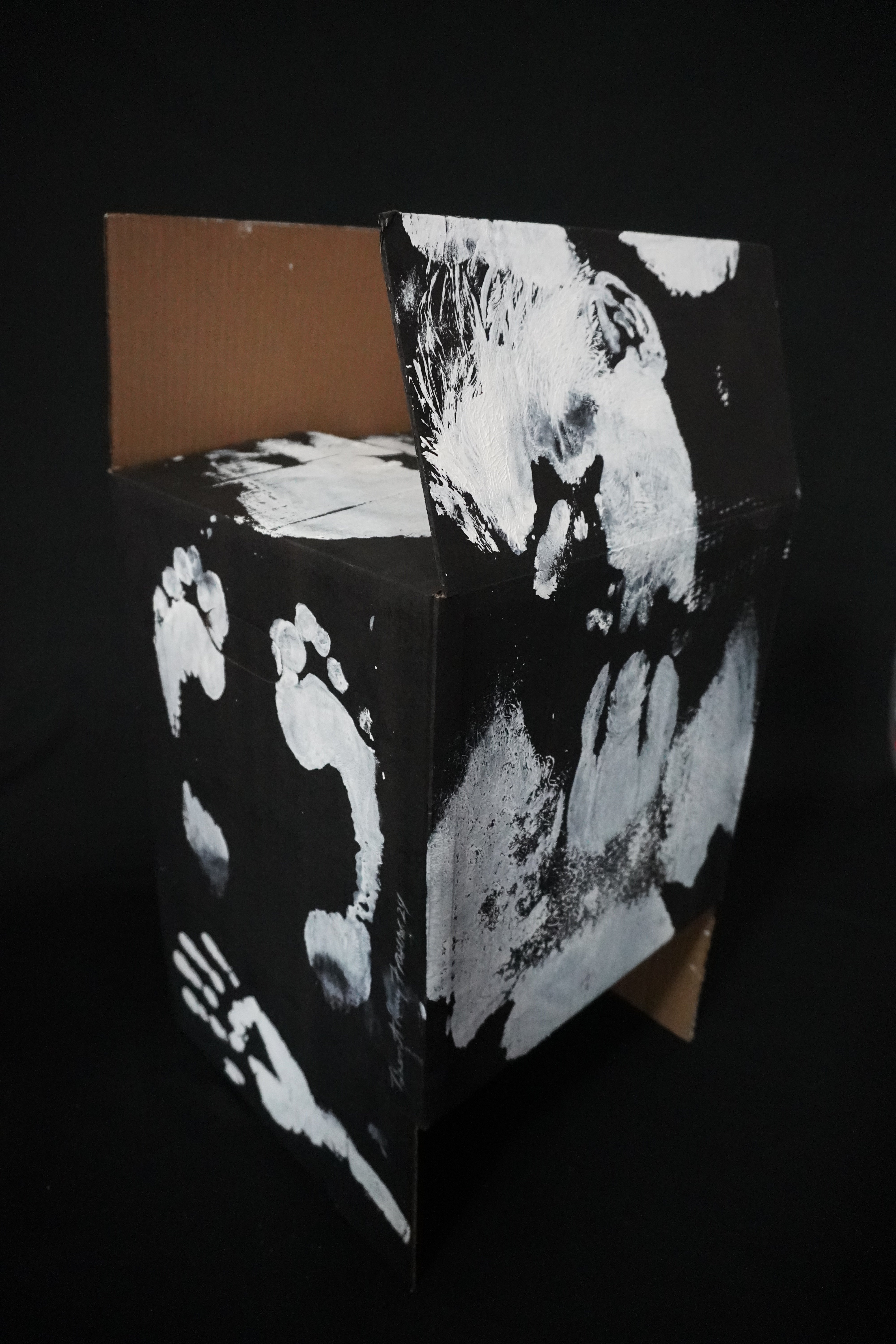 Box Imprint Artifact V (Object to Image Series) (2024)