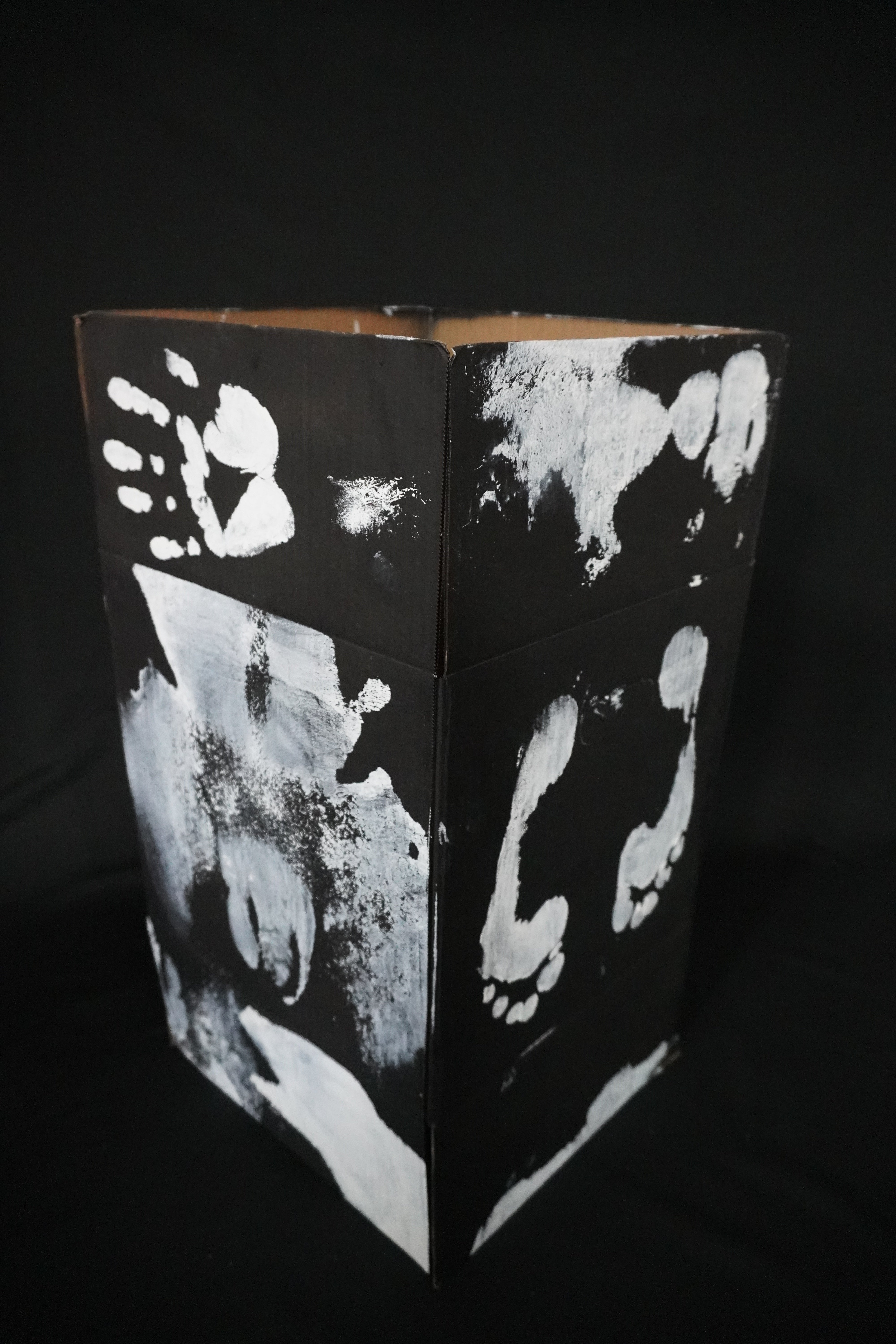 Box Imprint Artifact IV (Object to Image Series) (2024)