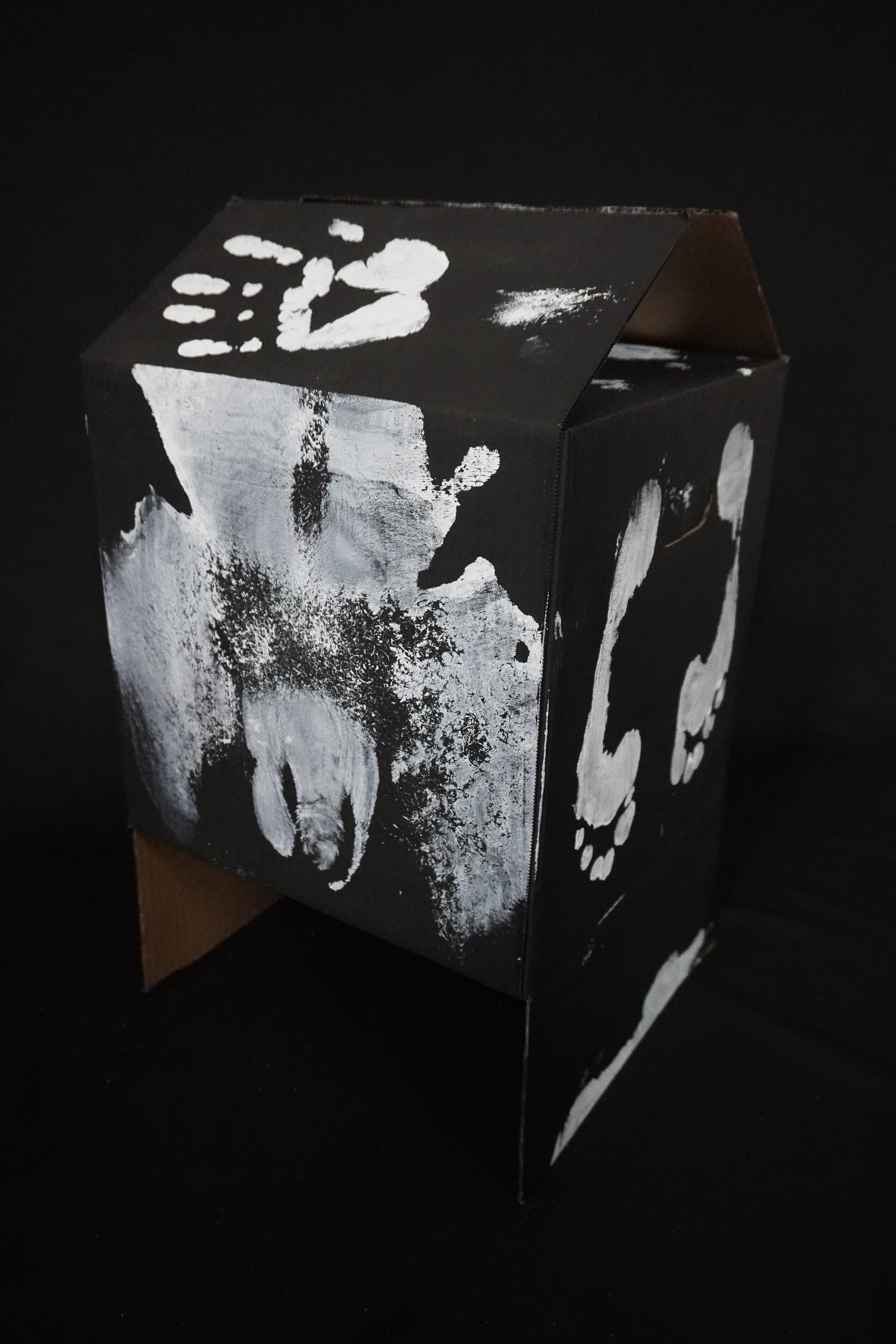 Box Imprint Artifact IV (Object to Image Series) (2024)