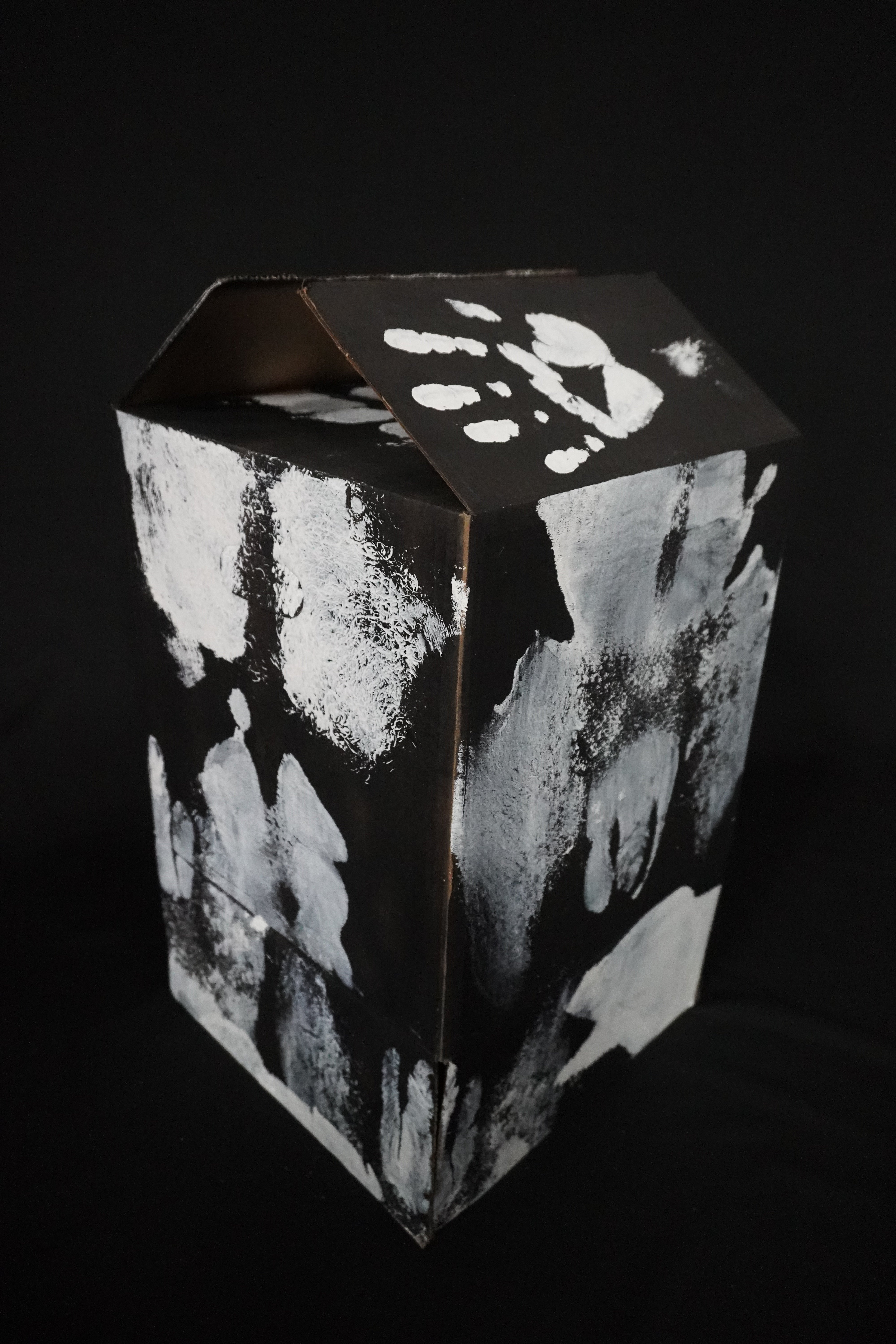 Box Imprint Artifact IV (Object to Image Series) (2024)