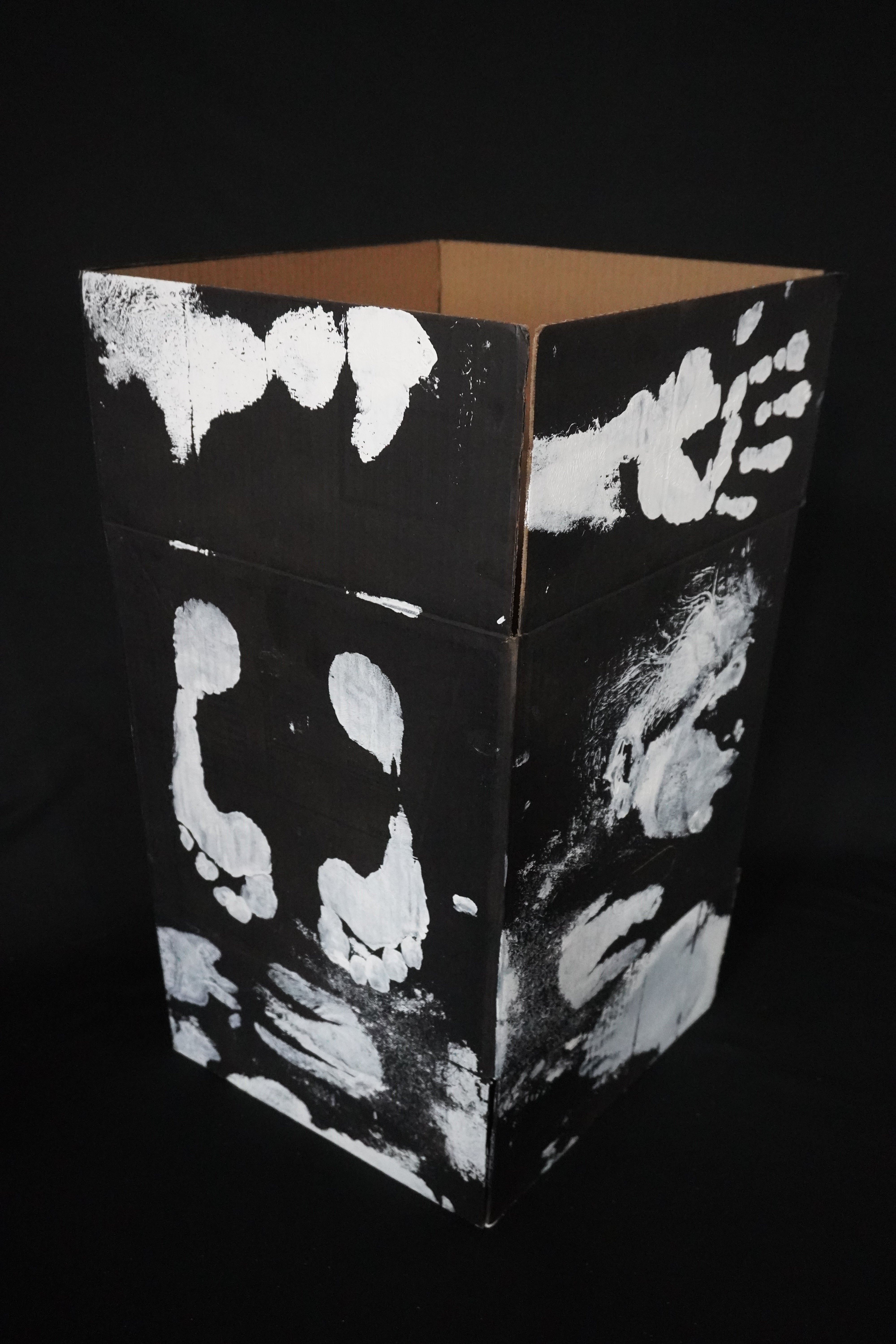 Box Imprint Artifact llI (Object to Image Series) (2024)
