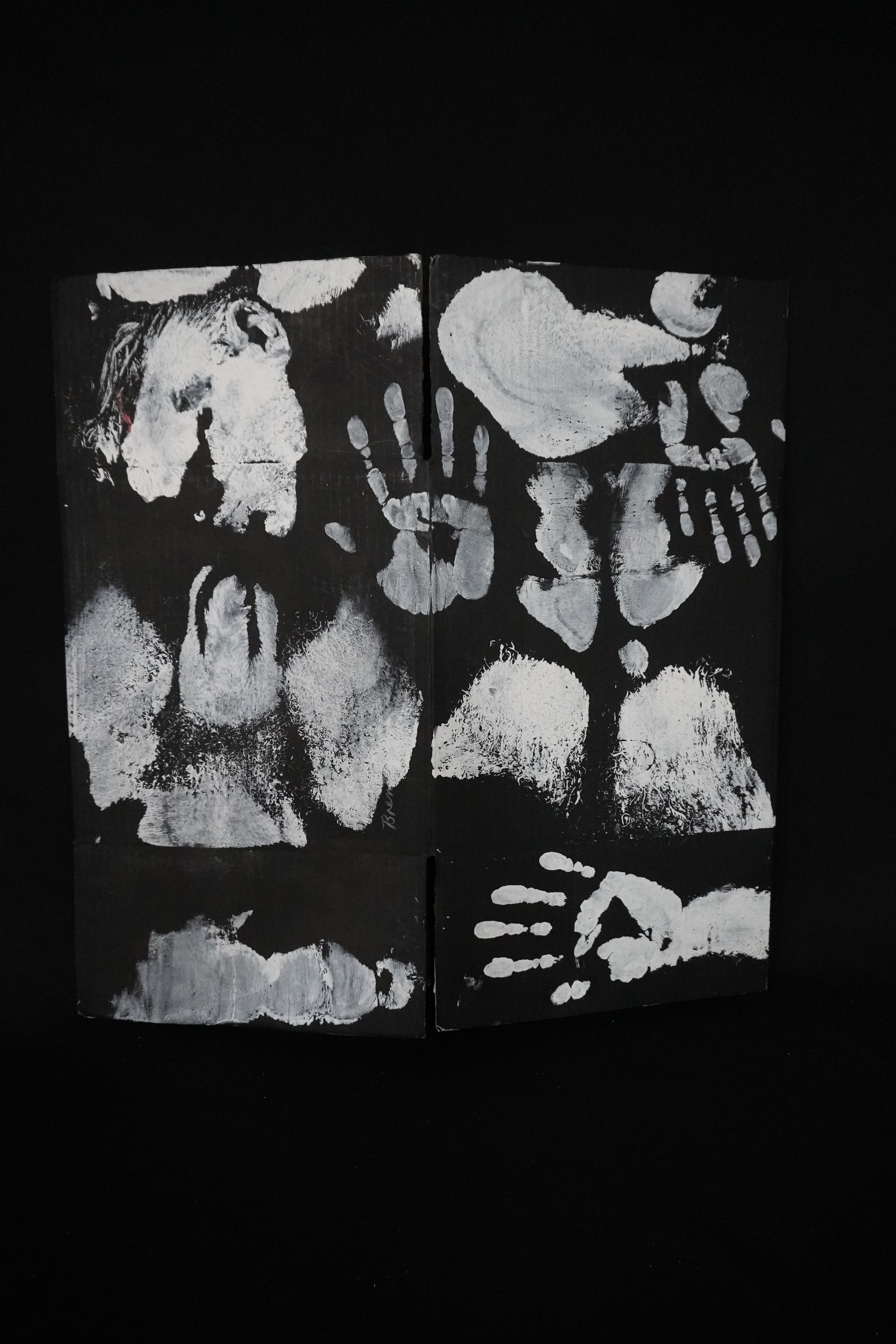 Box Imprint Artifact II (Object to Image Series) (2024)