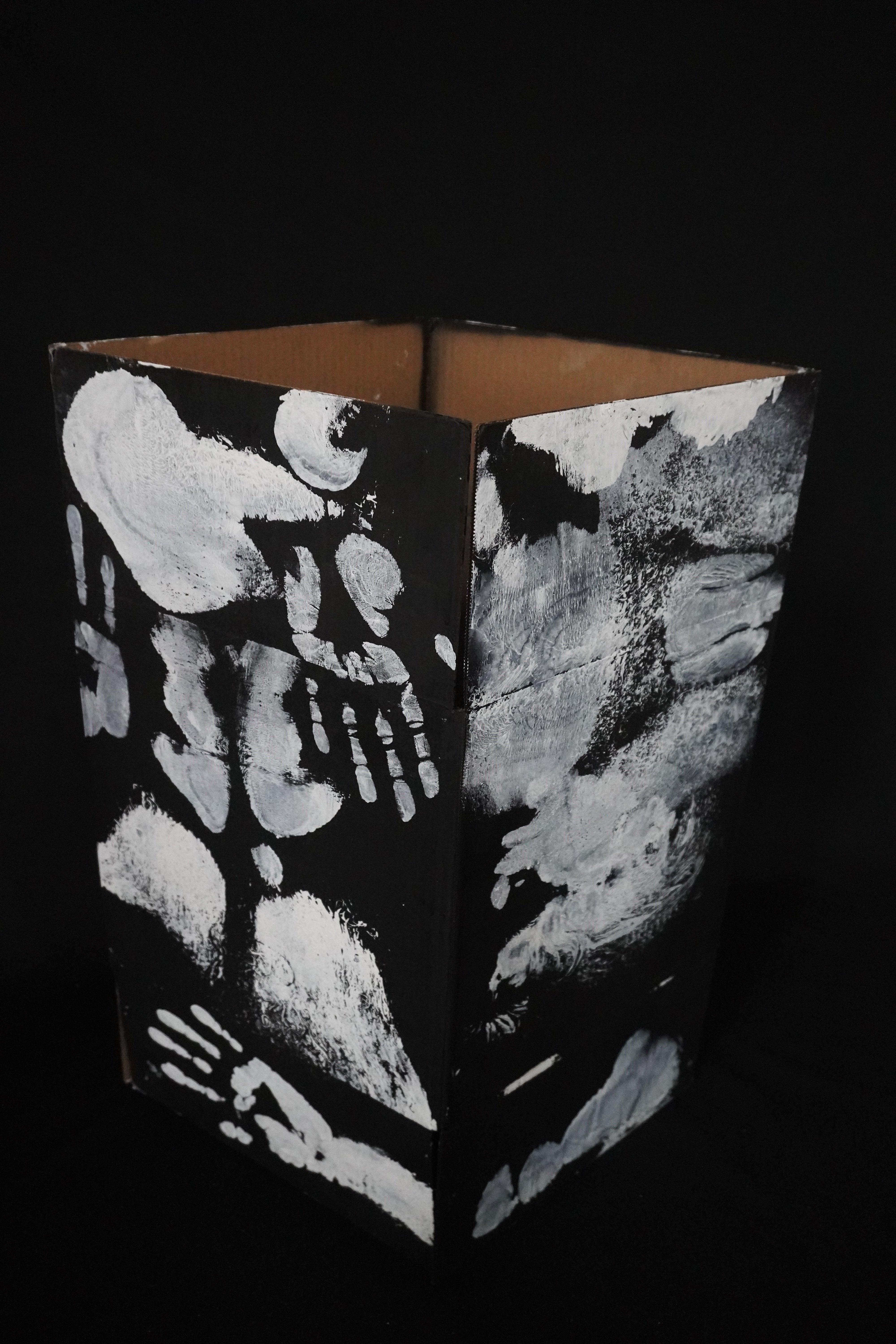 Box Imprint Artifact II (Object to Image Series) (2024)