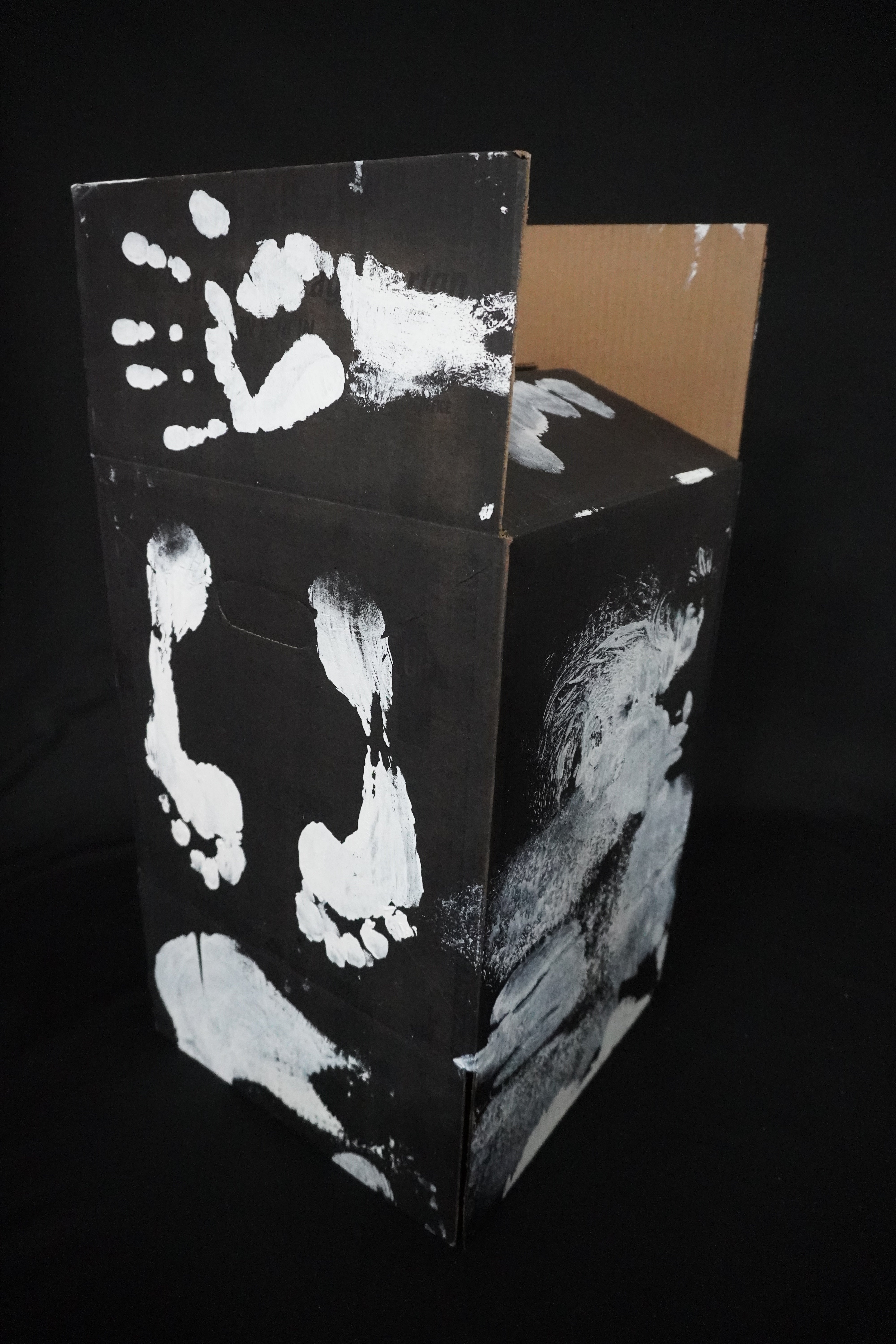 Box Imprint Artifact II (Object to Image Series) (2024)