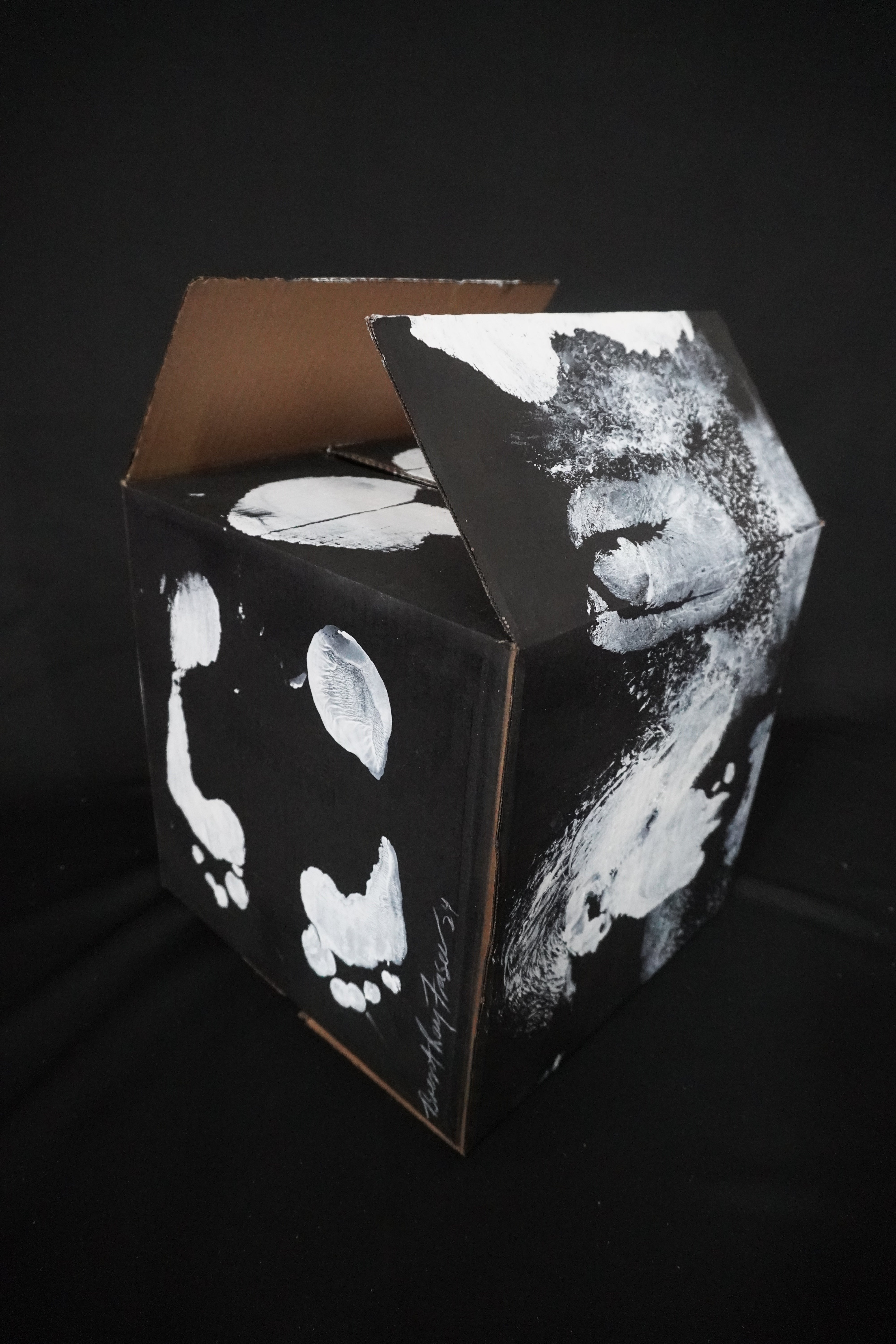 Box Imprint Artifact I (Object to Image Series) (2024)