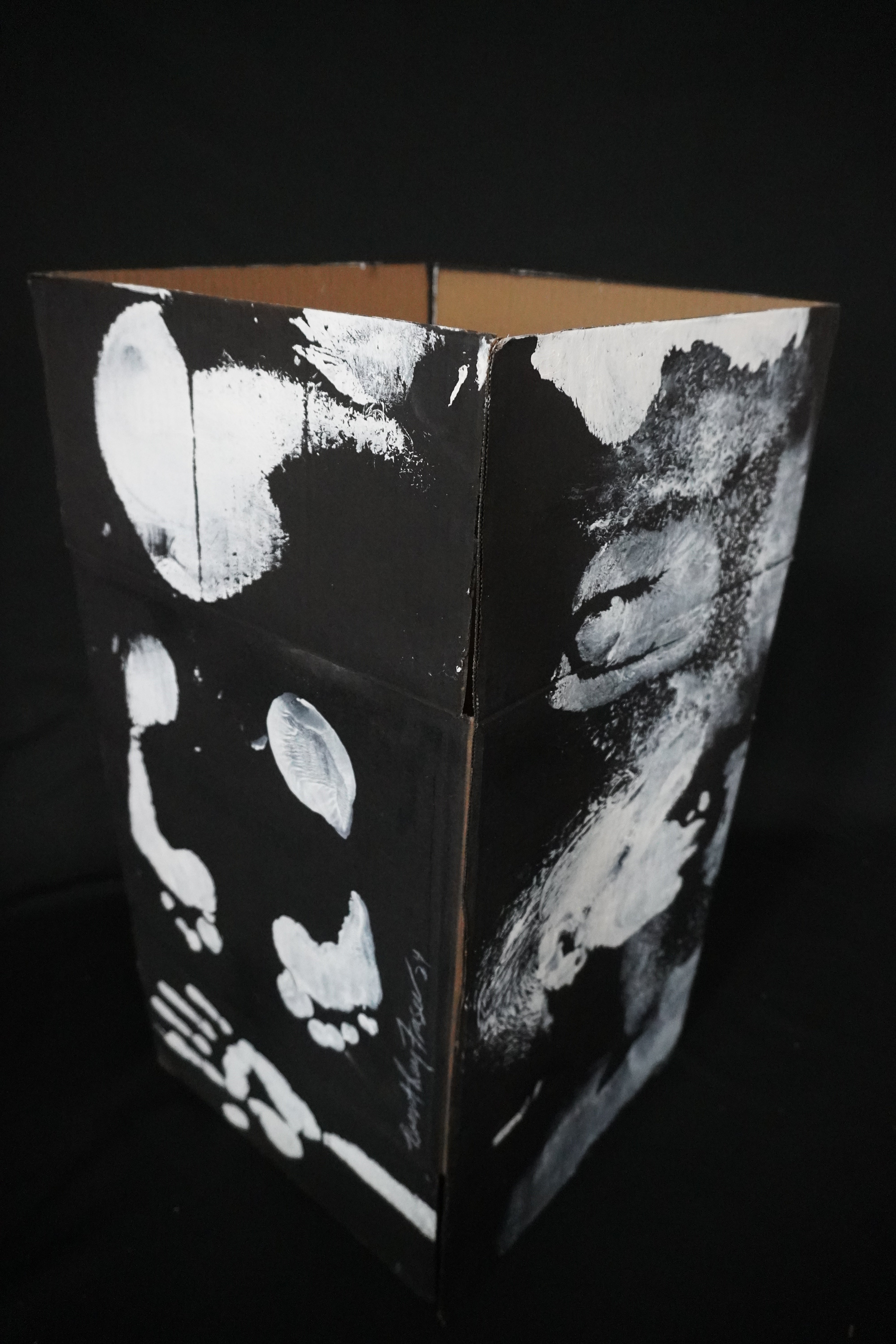 Box Imprint Artifact I (Object to Image Series) (2024)