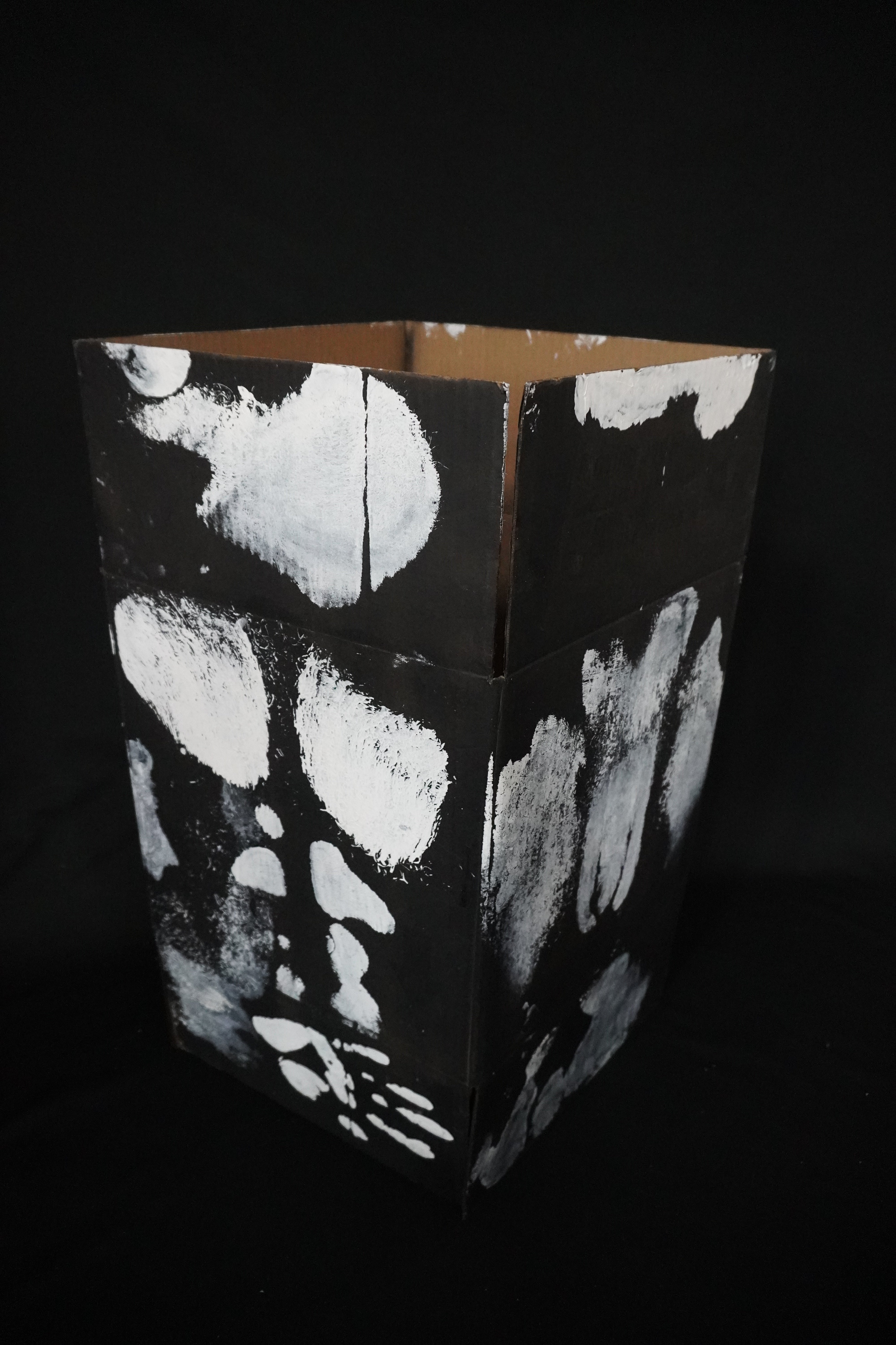 Box Imprint Artifact I (Object to Image Series) (2024)