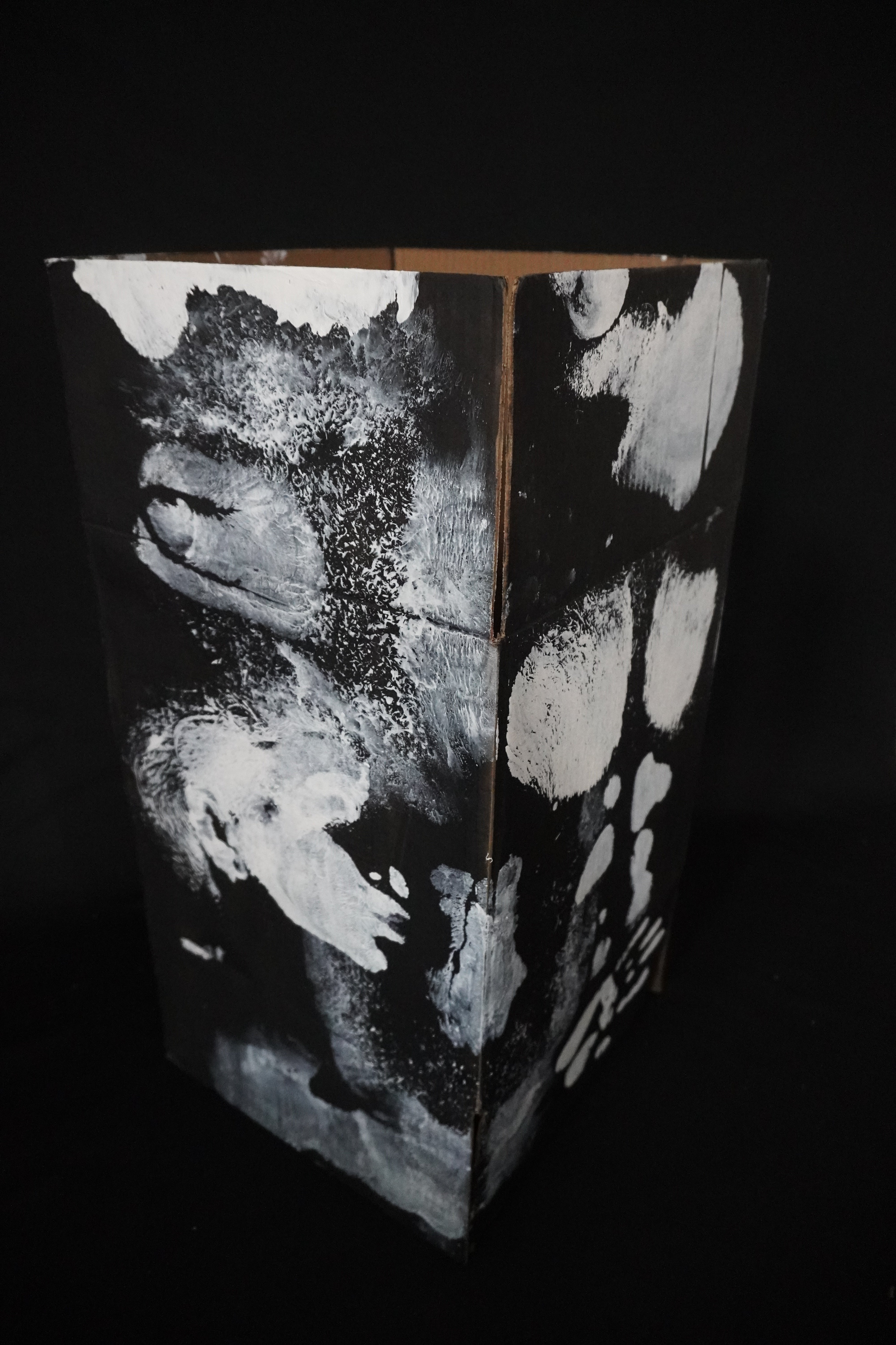 Box Imprint Artifact I (Object to Image Series) (2024)