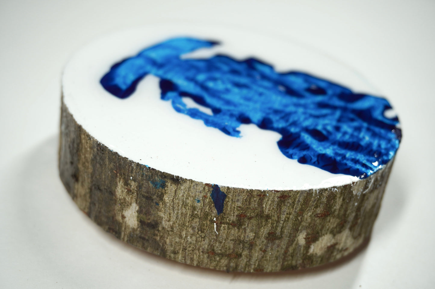 Tree Trunk Shaft Coaster blue - 2024