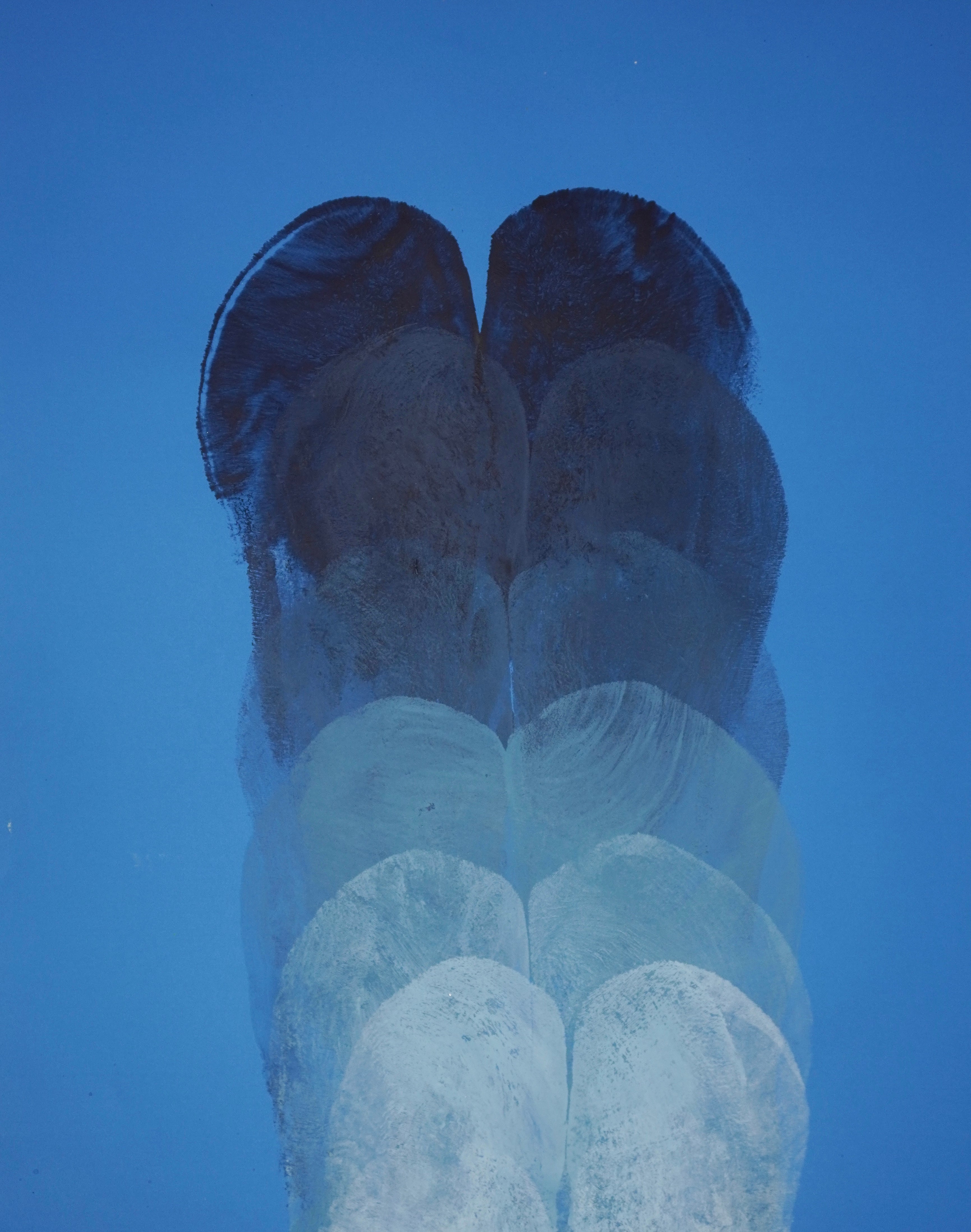 Gluteus Maximus Repetition Study XXXII (2024)