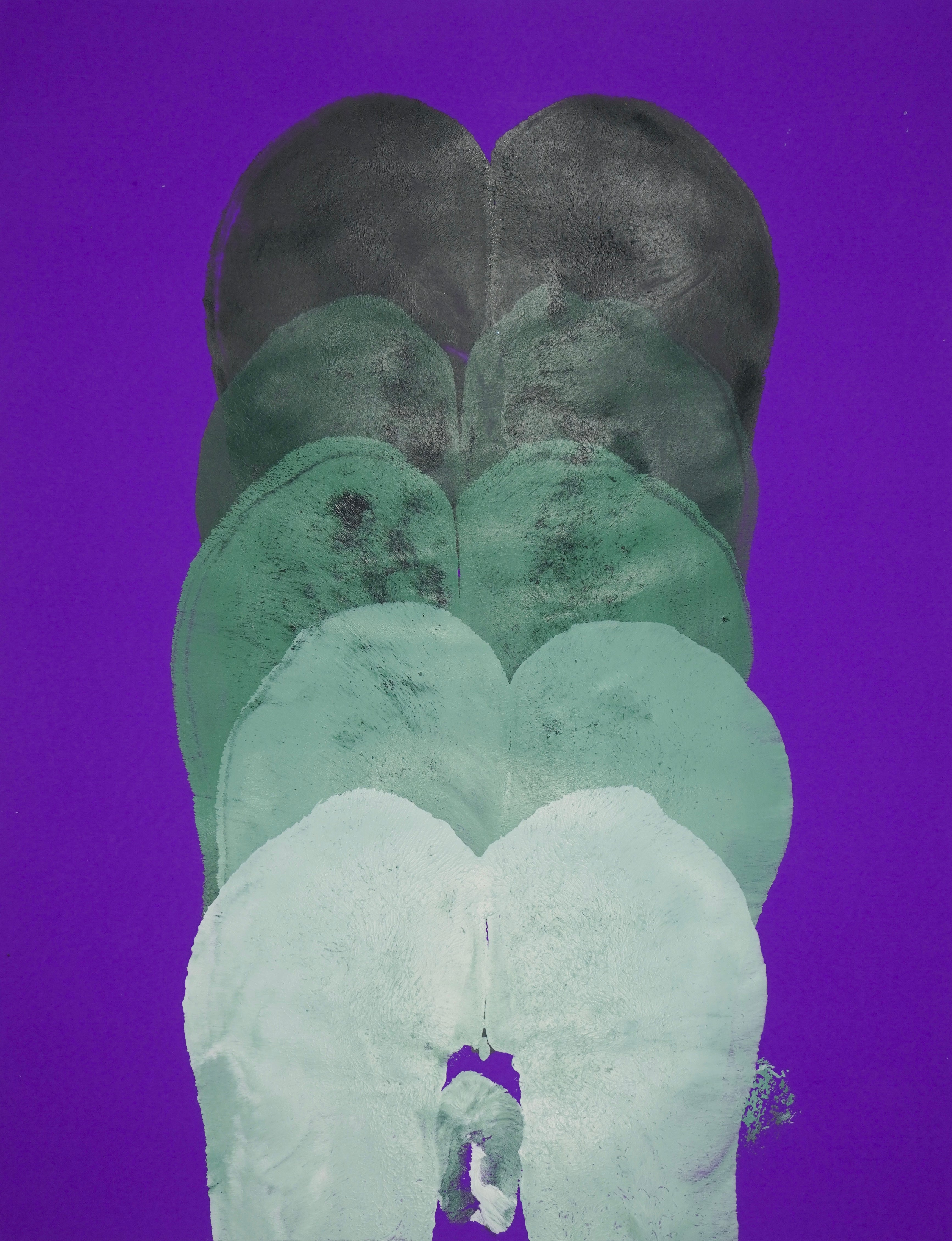 Gluteus Maximus Repetition Study XXXVIII (2024)