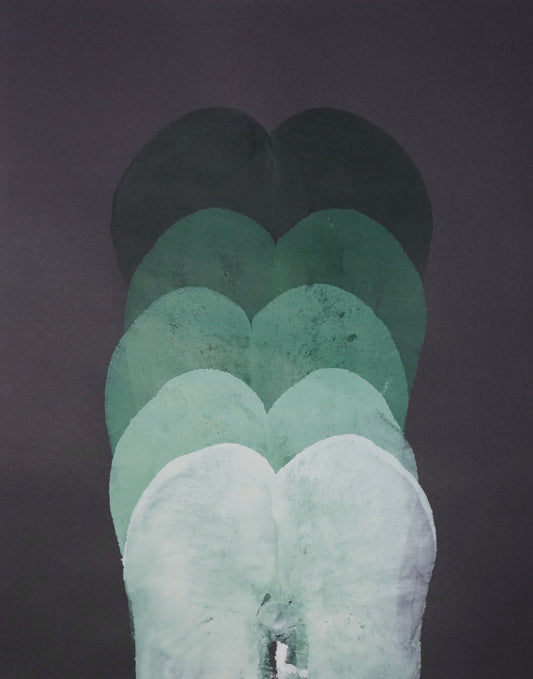 Bumpressions 25 - 2024