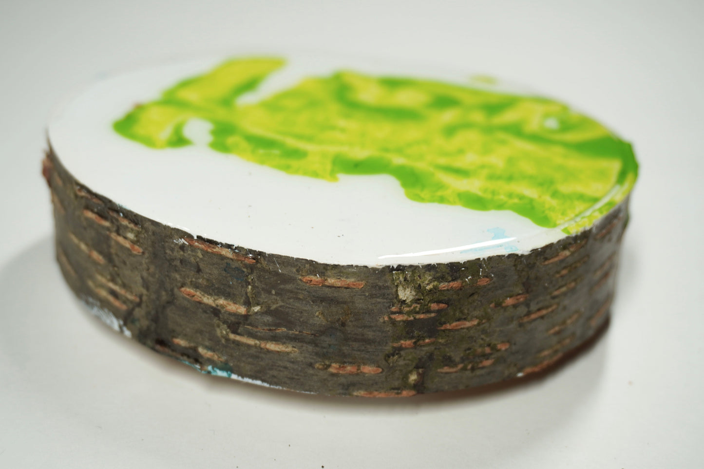 Tree Trunk Shaft Coaster green - 2024