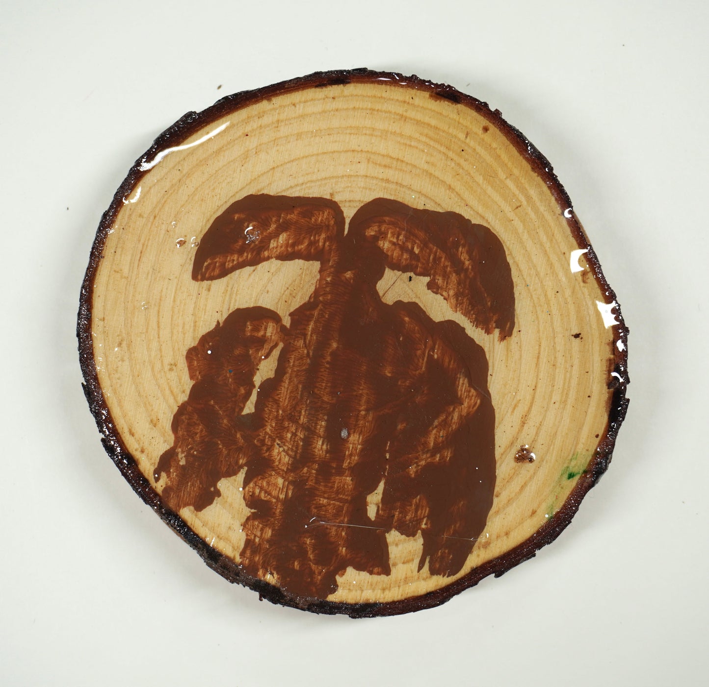 Just The Tip Coaster brown - 2024