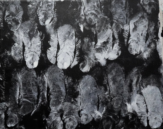 Follicle Vibes, 2023