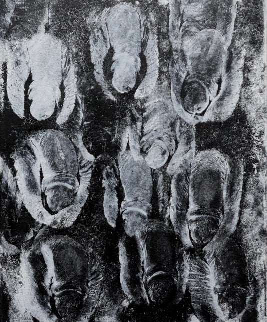 Soft White Whispers in White, 2023