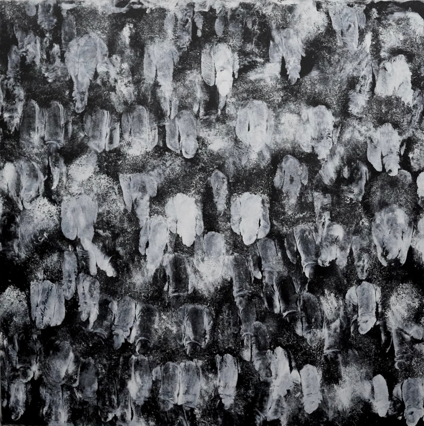 Echoes of the Bush, 2023