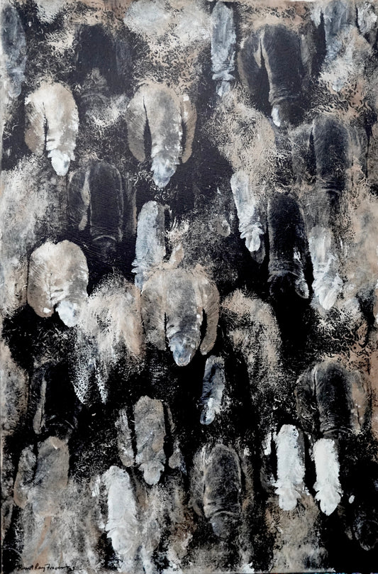 Cocoa Cottonwood, 2023