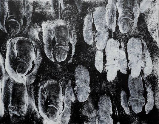 Natural Harmony, 2023