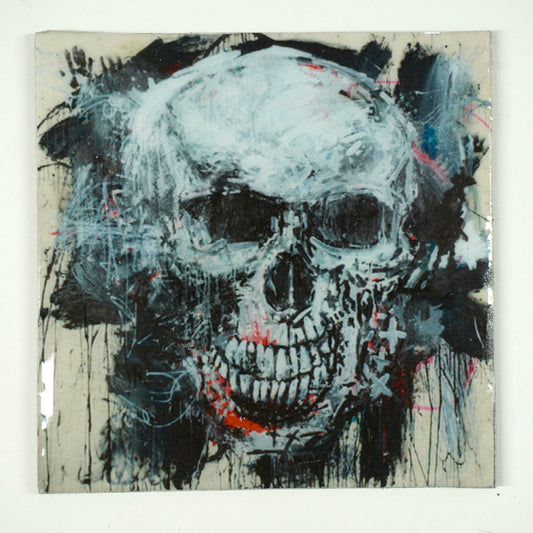 Skull Art Magnetic 11