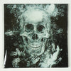Skull Art Magnetic 12