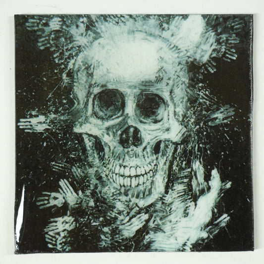 Skull Art Magnetic 12