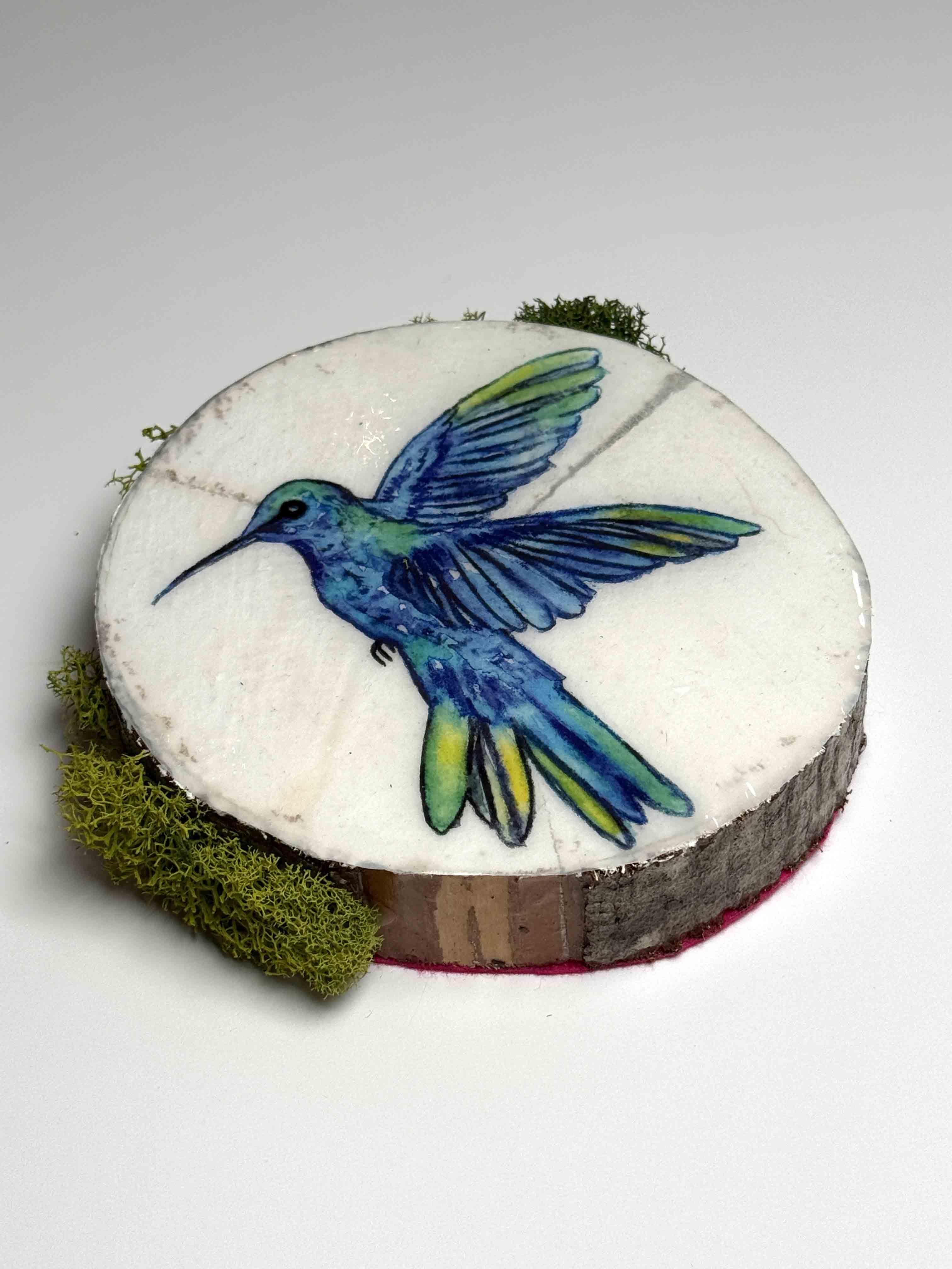 Sky Dancer (Hummingbird Study III)