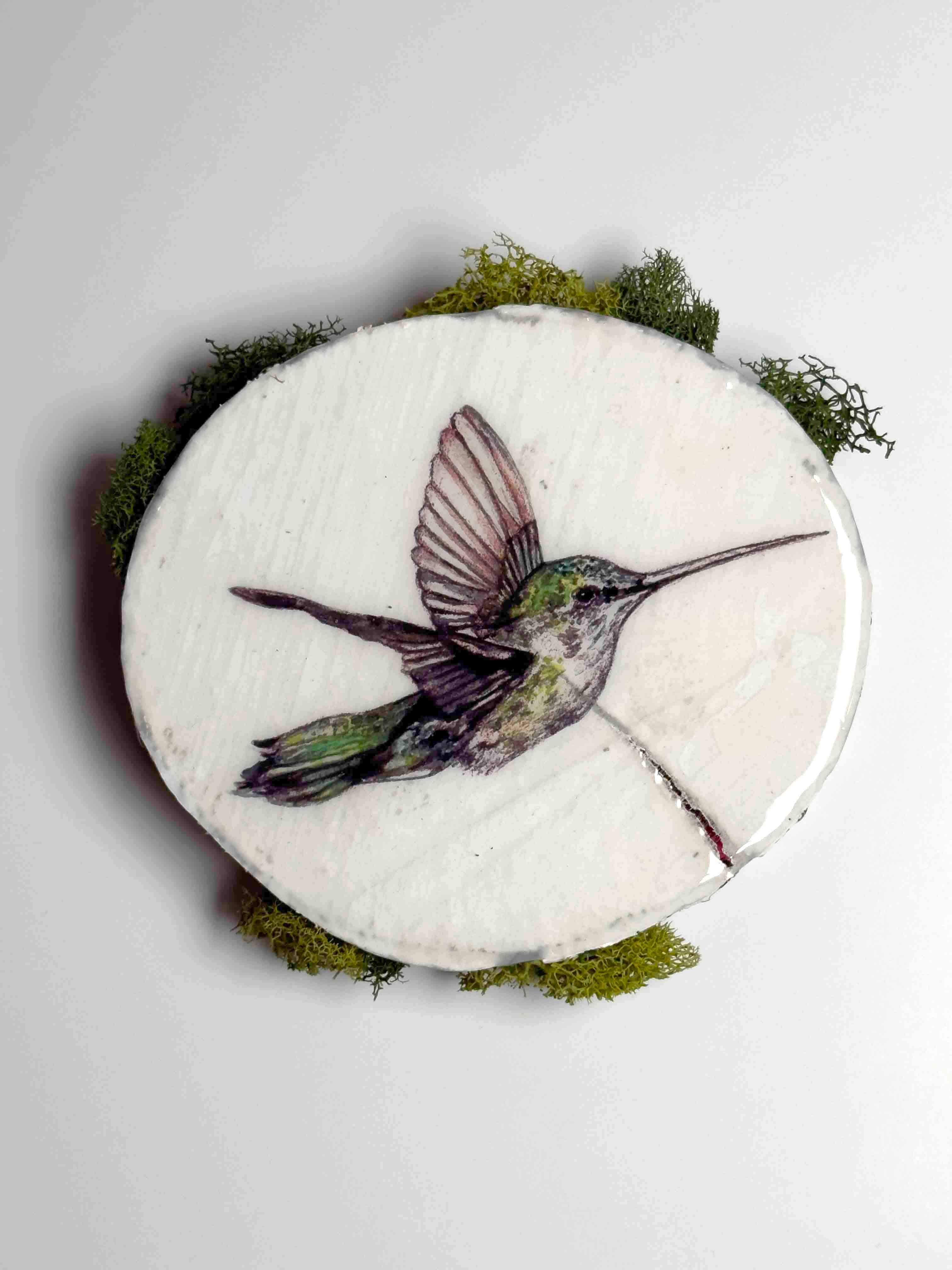 Honey Bomber (Hummingbird Study I)