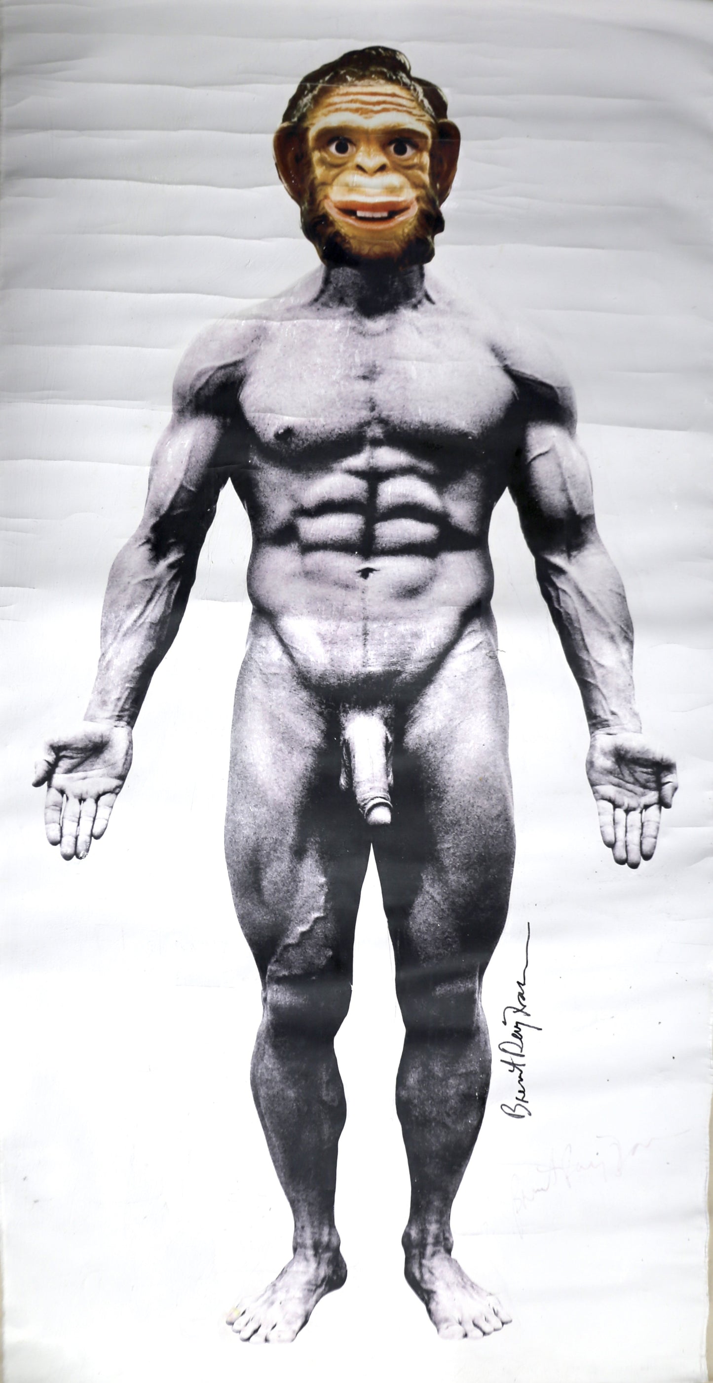 Monstera Adansonii, 2011 - By Brent Ray Fraser