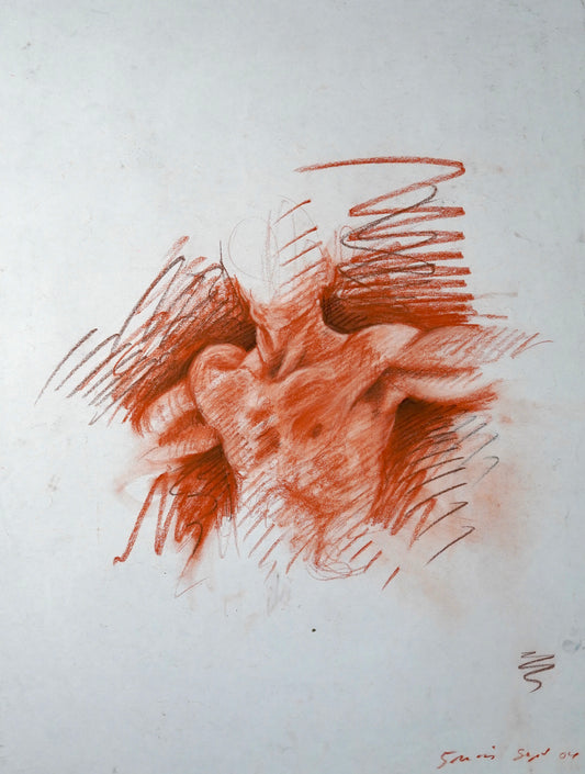 Male Upper Body, 2004