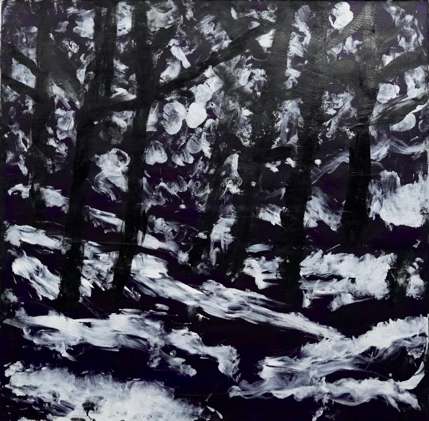 Wilderness Way, 2022