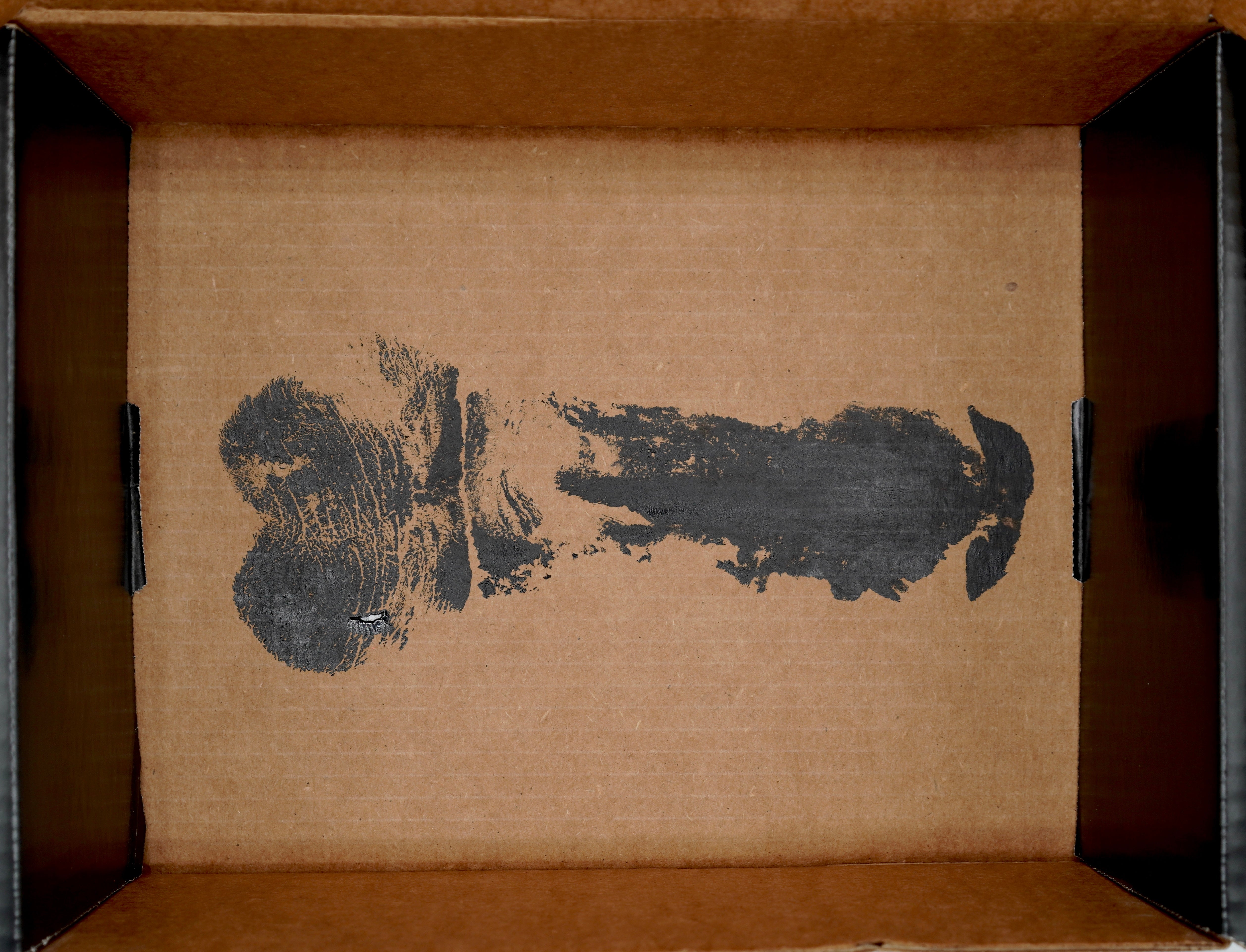 Shock & Awe Surprise Box: The Enthusiast's Edition