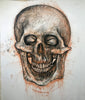 Anatomical Skull Drawing, 2019